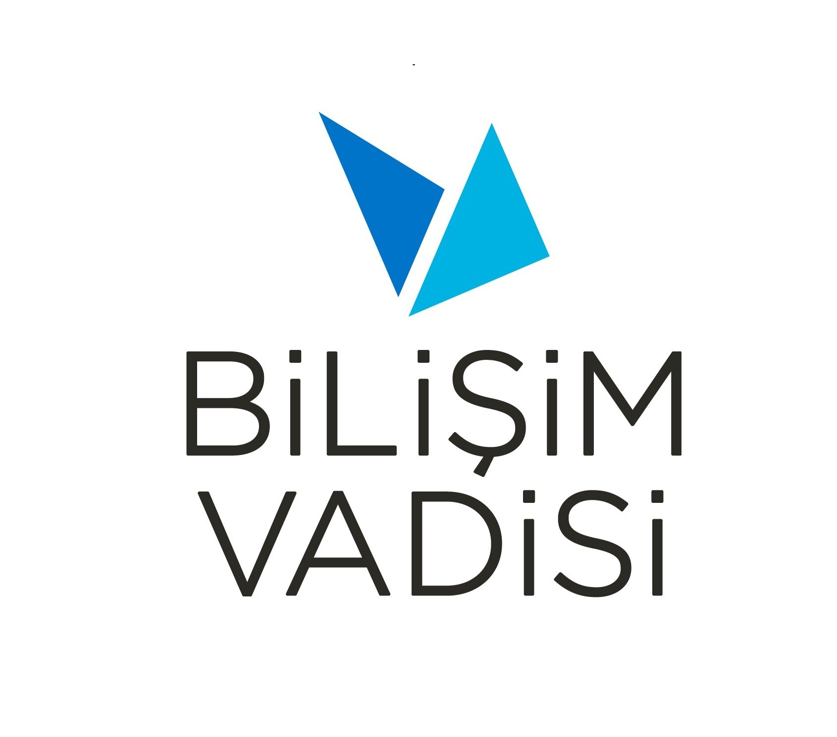 Bilişim Vadisi